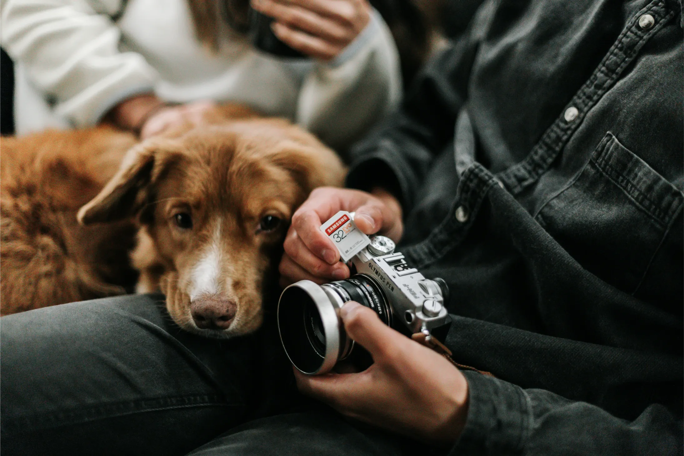 chien avec appareil photo