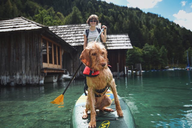 Les 7 moments à immortaliser dans le livre personnalisé de votre chien