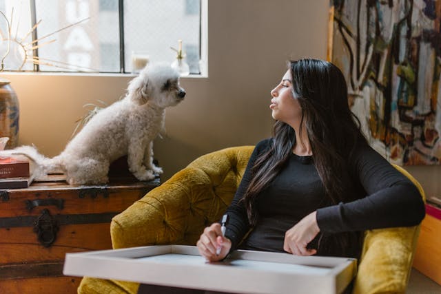 9 idées originales pour personnaliser le livre souvenir de votre chien